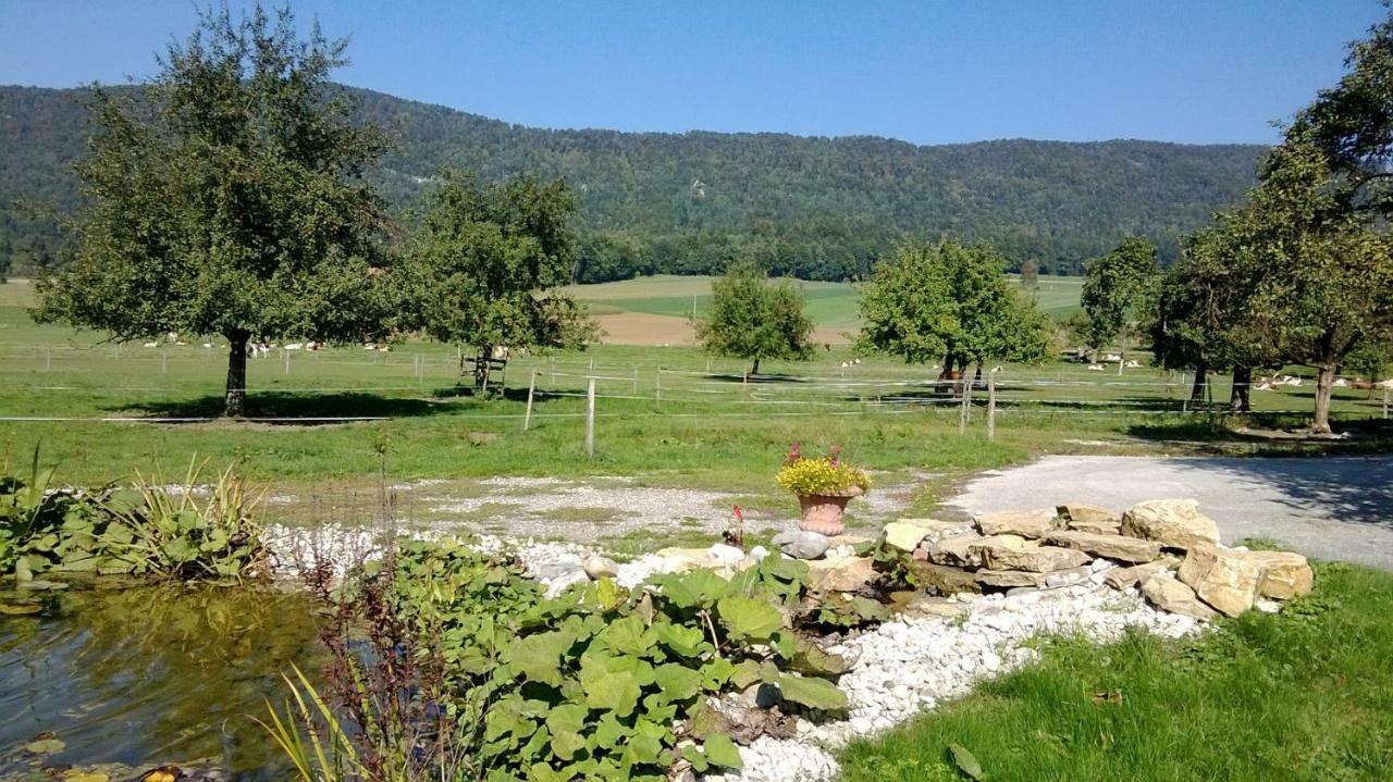 Apartement-Gite Rural A 3 Km De Delemont Courcelon Exteriör bild